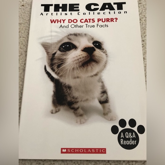 4. piece cat lover gift selection stocking stuffer - Picture 12 of 14